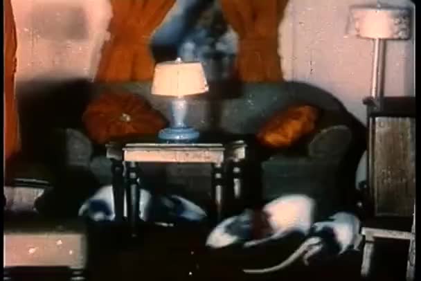 Șoareci Alergând Într Cameră Miniatură — Videoclip de stoc