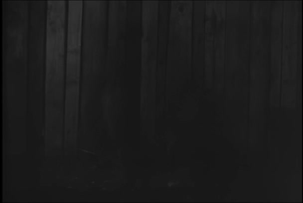 二十世纪五十年代雷暴期间 狗跳上木栅栏 — 图库视频影像