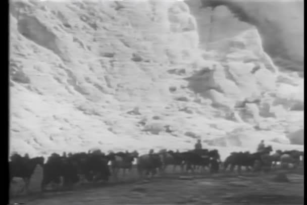 Soldaten Führen Pferde Durch Die Berge — Stockvideo