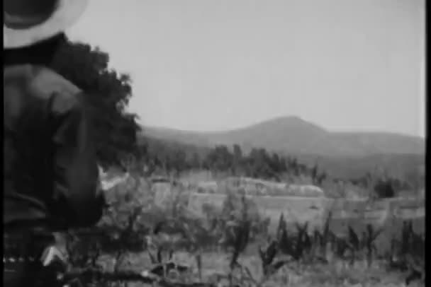 Πίσω Όψη Του Καουμπόη Απελευθερώνοντας Homing Περιστέρι — Αρχείο Βίντεο