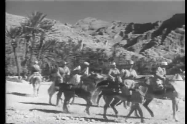 Marokkaanse Cavalerie Opladen Woestijn — Stockvideo