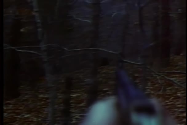 在树林里手拿着枪后面的观点 — 图库视频影像