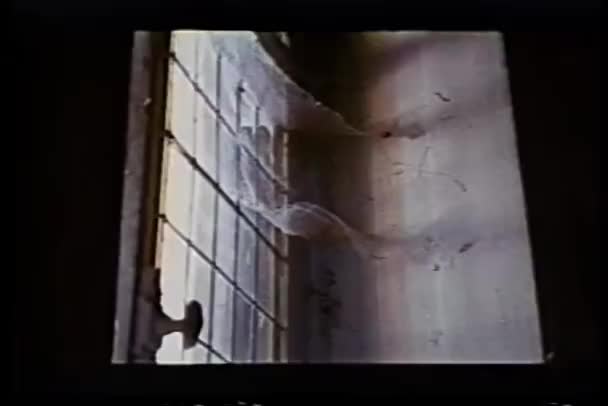 Szczegół Stare Okna Pokryte Pajęczyny — Wideo stockowe