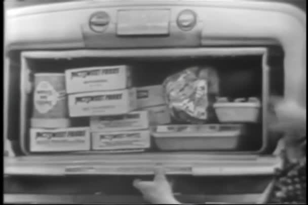 Γυναίκα Που Εξηγεί Χαρακτηριστικά Του Ρετρό Ψυγείο — Αρχείο Βίντεο