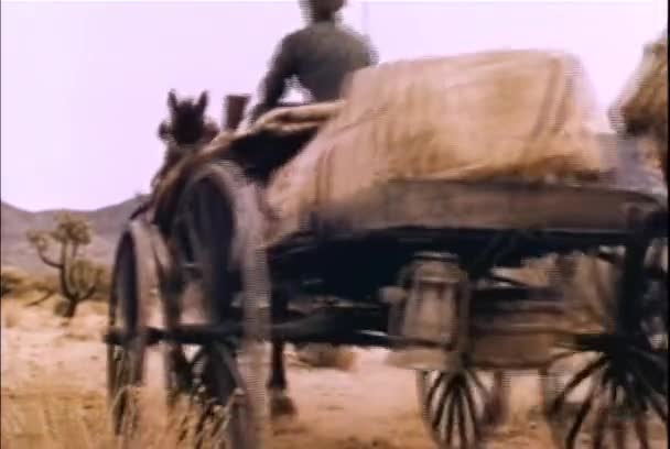 Cowboys Escorting Woman Driving Horsedrawn Carraige 1960S — Stock Video