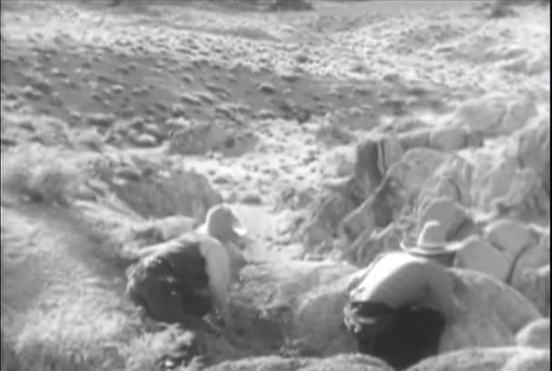 Vaqueros Esperando Para Emboscar Hombres Caballo Carretera Del Cañón 1930 — Vídeo de stock