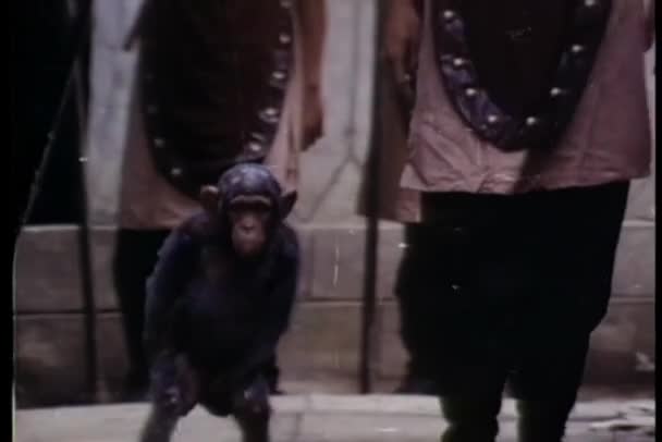 Mono Soldado Caminando Por Camino Soldados — Vídeos de Stock