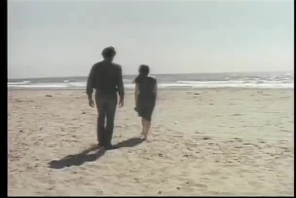 男と女が海に向かって歩いての背面図 — ストック動画