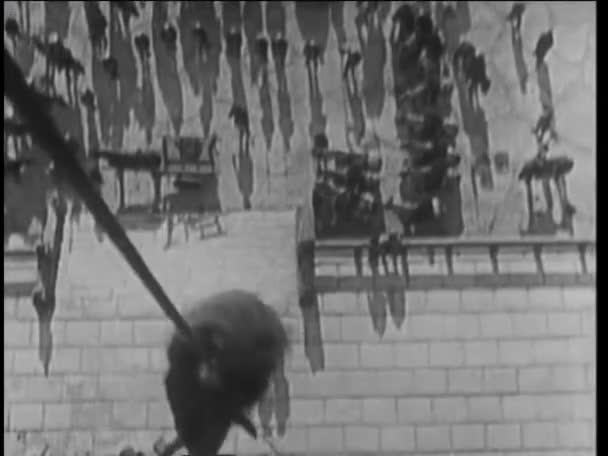 Высокоугольный Снимок Человека Спускающегося Вниз Помощью Веревки Соборе Нотр Дам — стоковое видео