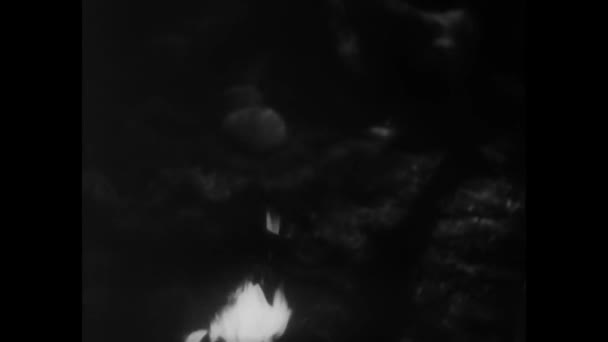 女性は火に燃えるスティックを投げると消火のミディアム ショット — ストック動画