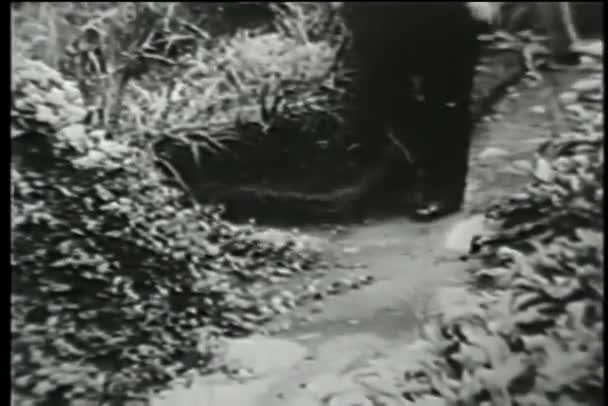 Dachgarten New York City 1930Er Jahre — Stockvideo