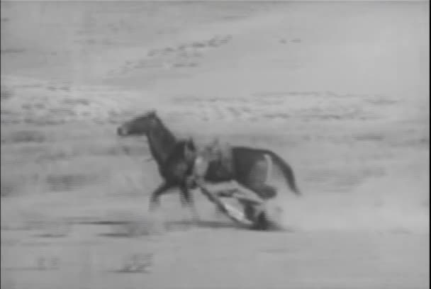 Pferd Zerrt Mann Über Prärie 1930Er Jahre — Stockvideo