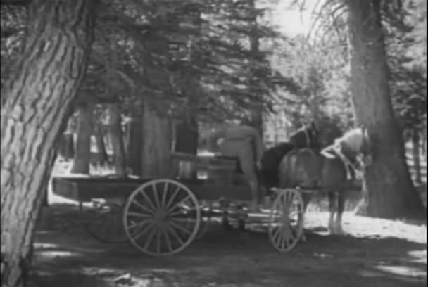 Man Krijgen Paarden Getrokken Kar Rijden Weg Jaren 1930 — Stockvideo