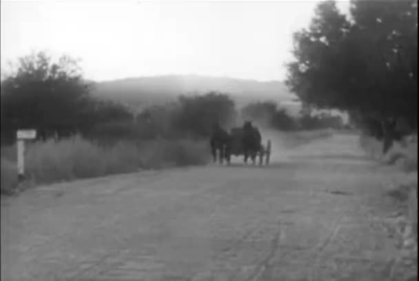 Horses Galloping Empty Buggy Country Road 1930S Stock Footage