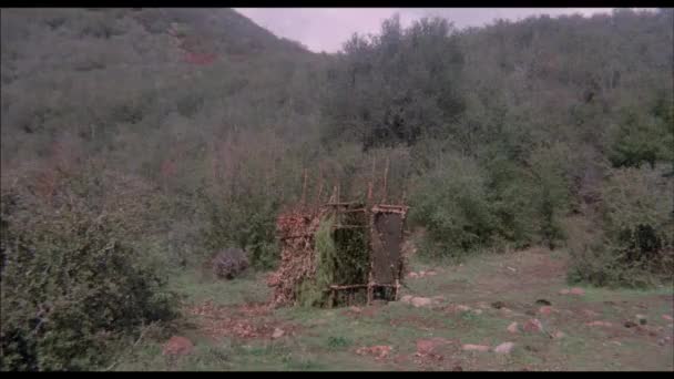 Wide Shot Outhouse Exploding Clearing Woods 1970S — Stock Video