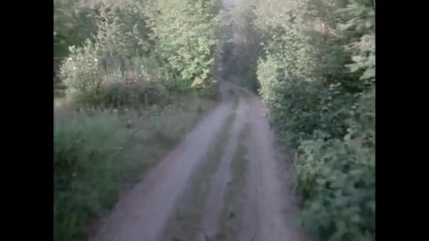 Synpunkt Från Bil Grusväg Skog 1970 Talet — Stockvideo