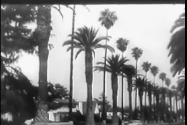 1950年代の道路とハイウェイに沿って移動する車 — ストック動画