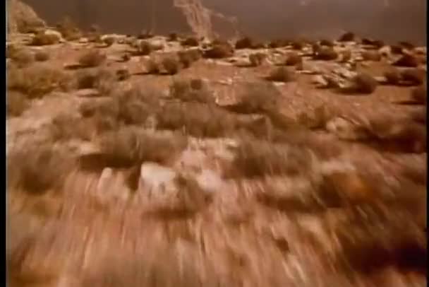 Стейдікам Зняв Скелі Фоні Природи — стокове відео