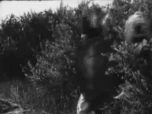 Three Natives Tribal War Paint Walking Jungle 1940S — Stock Video