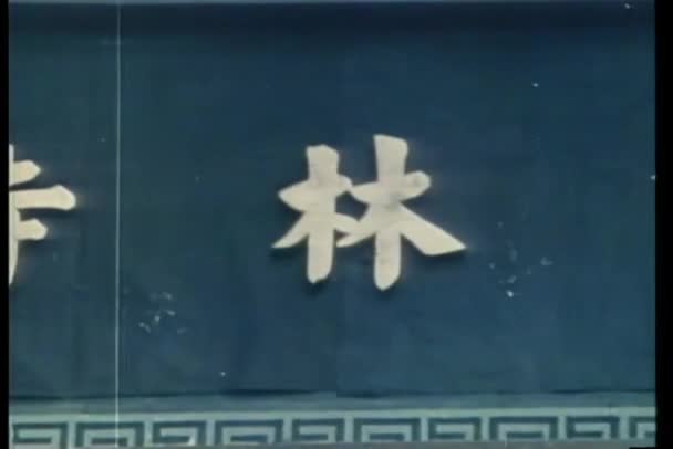 Zoom Uit Shaolin Tempel Dak — Stockvideo