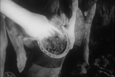 1930 'larda at toynağını kesen nalbandın yakın görüntüsü.
