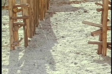 adam herding keçi ağıl içine