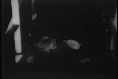 Gece trenine binmek zevk çift arka görünüm