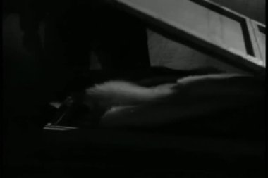 adam kürk kutunun içini keşfetme