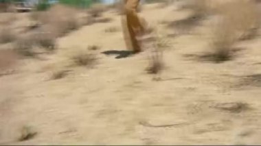 1970'lerde çöl tepeden aşağı yürüyen adam yarım uzunluk atış