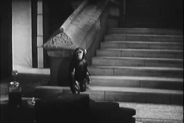 Merdiven konakta, 1950'lerde yürürken kayıp maymun