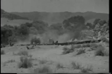 geniş shot inek sürüsü dağ silsilesi taşıma