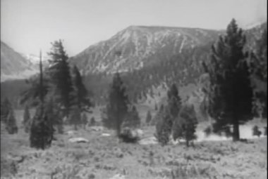 1930'larda countyside, atlı dörtnala kovboylar tarafından silahlı çatışma