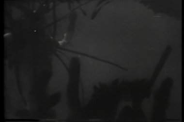 Derin deniz dalgıcı yeniden yüzeye çıkıyor