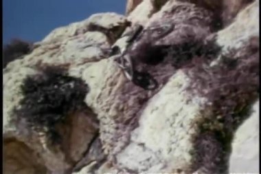 okyanus içine uçurumdan düşen motosiklet