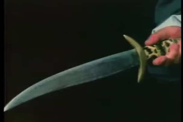Μεγέθυνση Του Χέρι Που Κρατά Σπαθί — Αρχείο Βίντεο