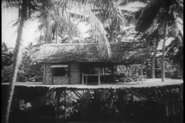 Tropik Ağaç Evler Geniş Shot — Stok video