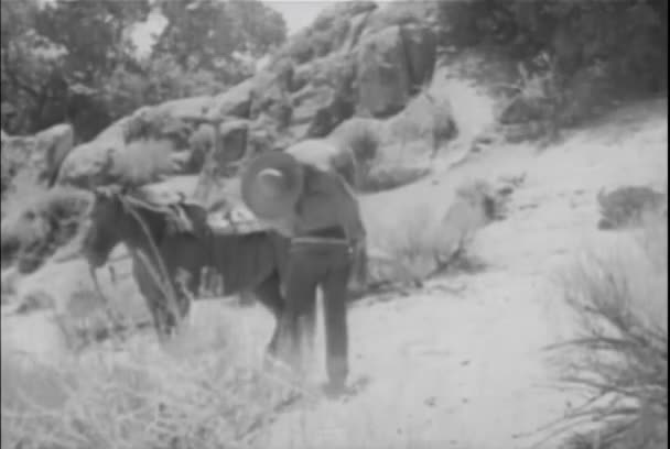 Cowboy Carregando Homem Inconsciente Para Seu Cavalo 1930 — Vídeo de Stock