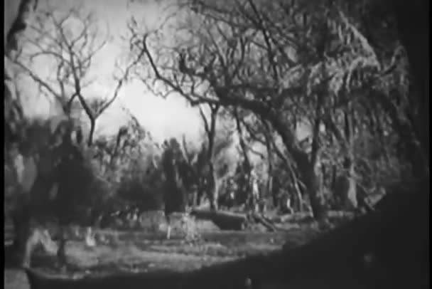 森の中で ハードルを飛び越えています乗馬の男性 — ストック動画