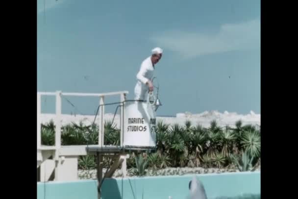 Tempo Alimentazione Delfini Marine Studios Florida — Video Stock