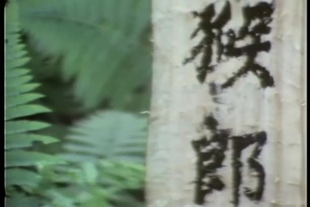 Ingrandisci Persone Lutto Che Rendono Omaggio Alla Tomba Cinese — Video Stock