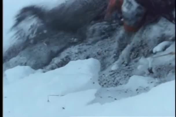 滑雪者尽量不滑落雪崖 — 图库视频影像