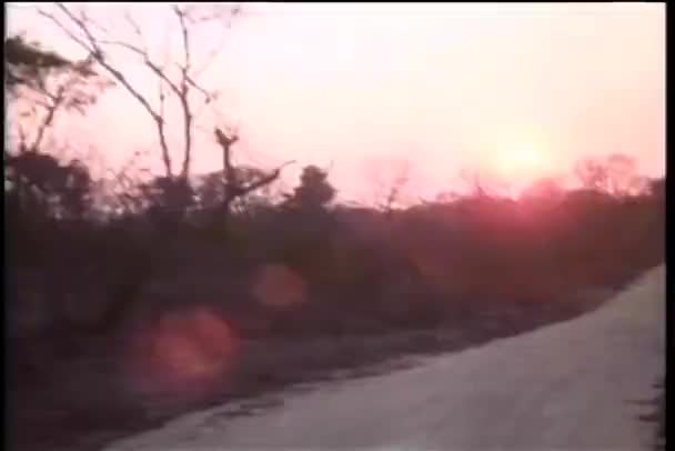 Θέα Από Μετακίνηση Του Αυτοκινήτου Στο Χωματόδρομο Στην Αφρική — Αρχείο Βίντεο