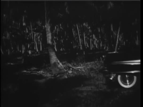 Старомодный Фургон Следует Винтажным Автомобилем Лесу Ночью — стоковое видео