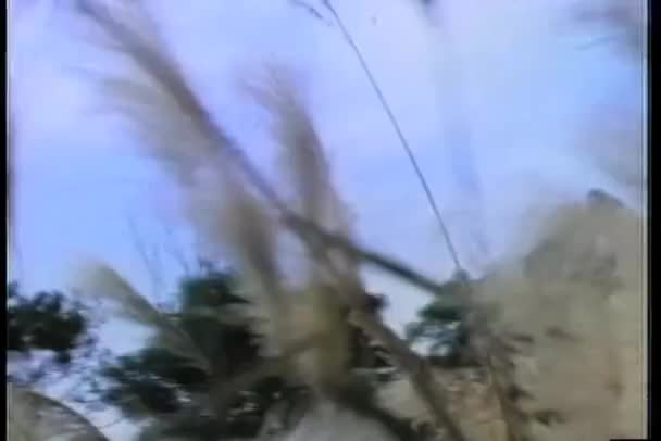 Rakev Létání Nad Polem — Stock video