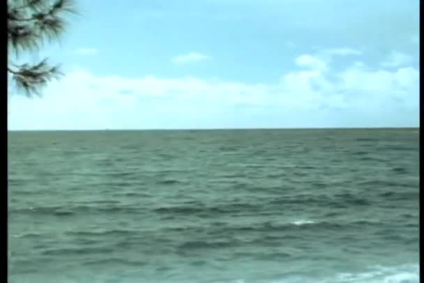해변에 바다를 — 비디오