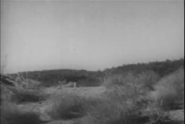Пейнтбольний Постріл Собаки Біжить Пагорбом Через Рівнини 1930 — стокове відео