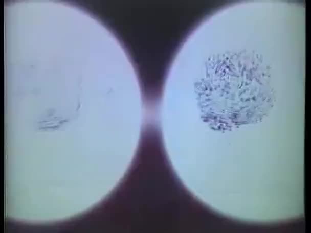 Close Fingerprints Seen Magnifier — Stock Video