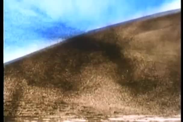 Широкий Знімок Вторгнення Великого Рою Сарани — стокове відео