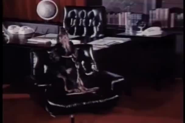 Dog Chair Howling — Stock Video