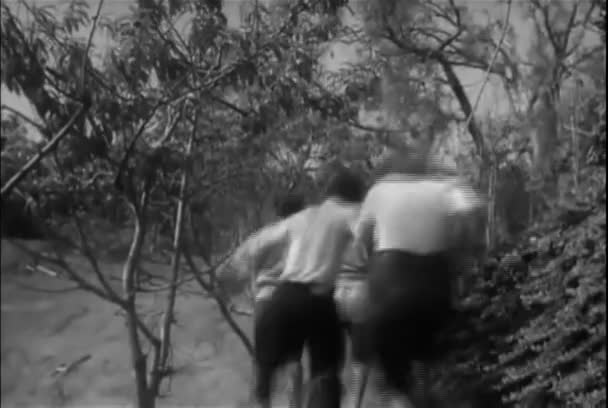 Três Casais Adolescentes Correndo Pela Floresta 1950 — Vídeo de Stock